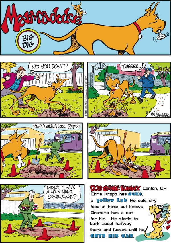marmaduke